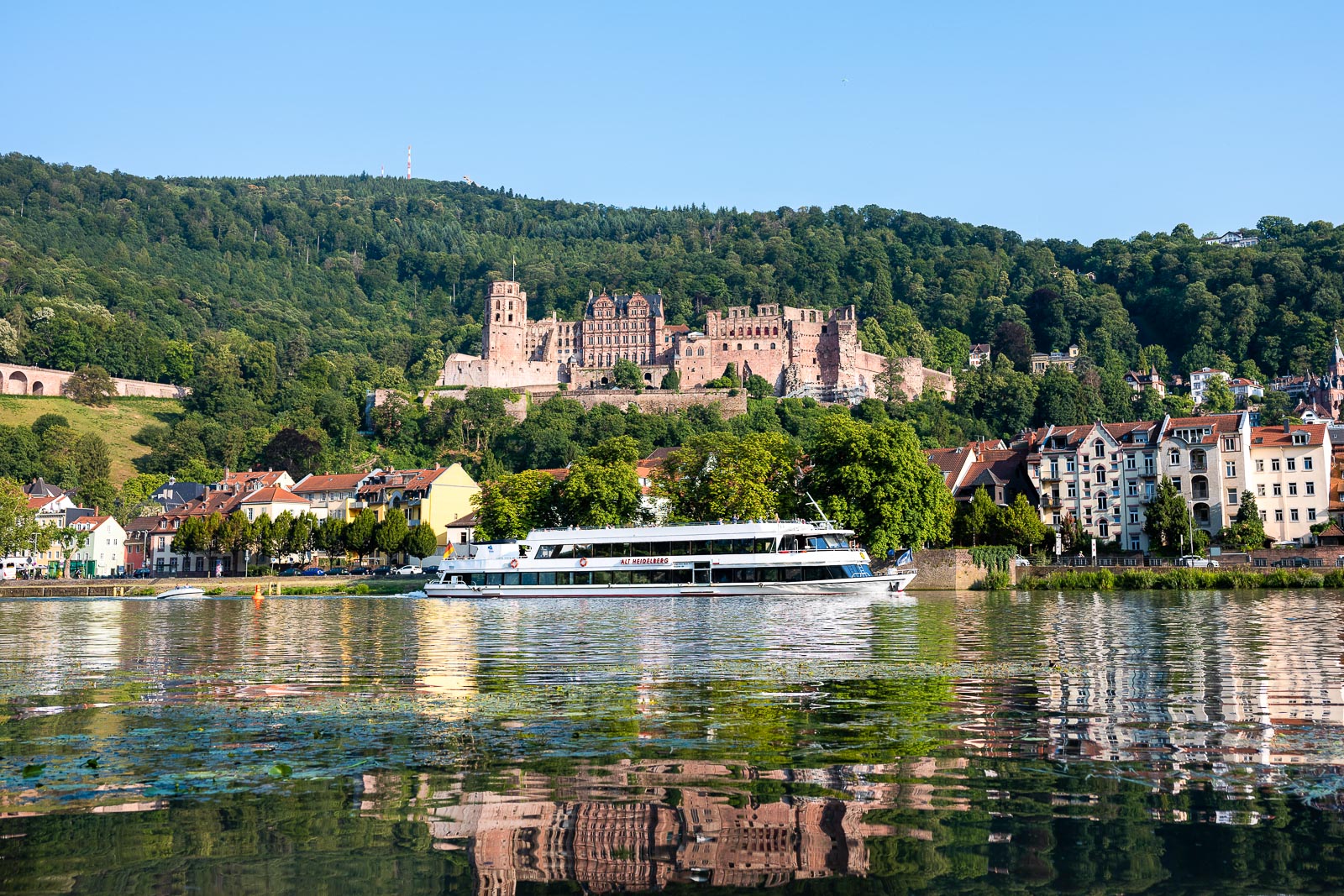 ms alt heidelberg 4 • Weisse Flotte Heidelberg