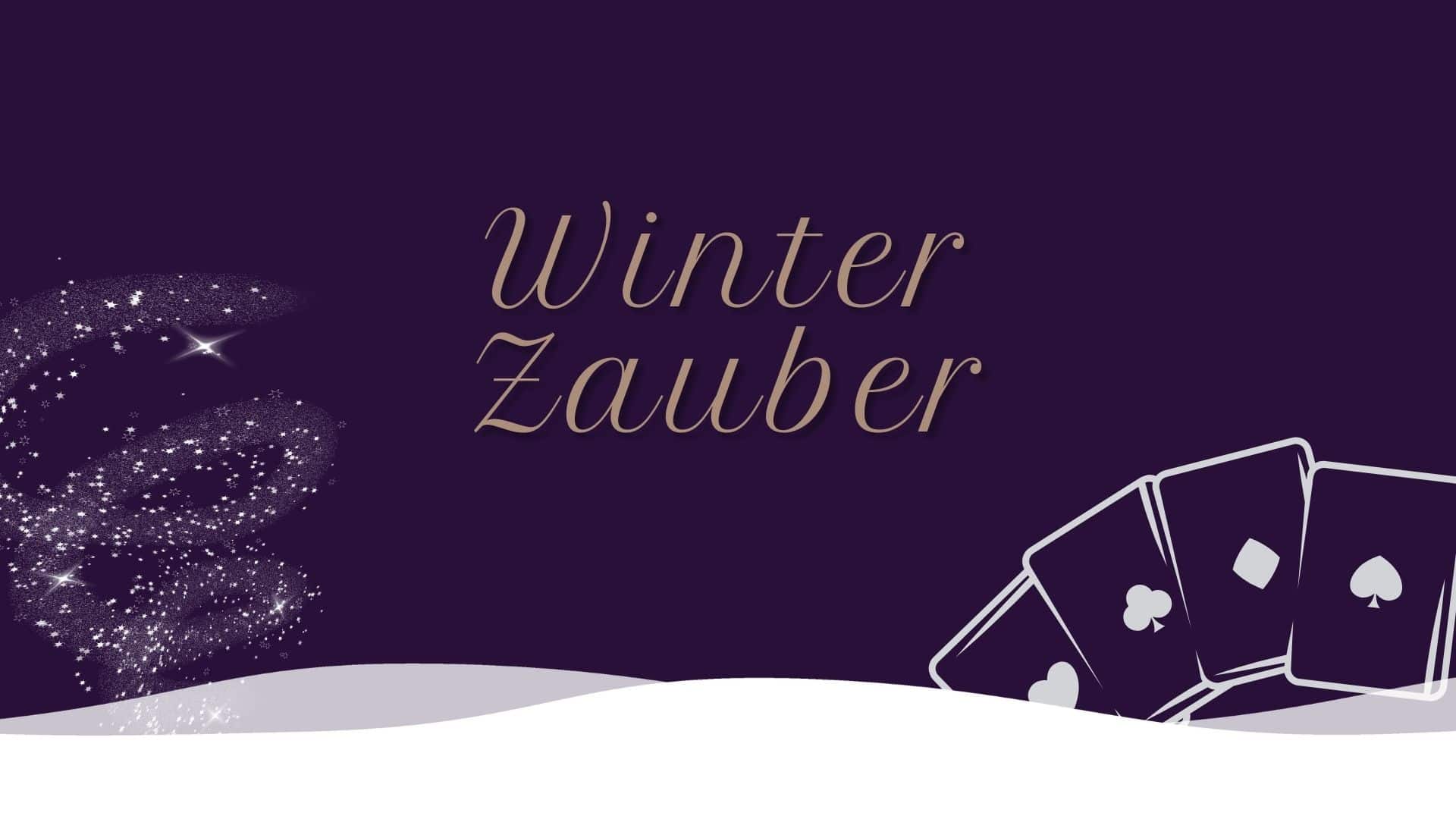 Winter Zauber • Weisse Flotte Heidelberg