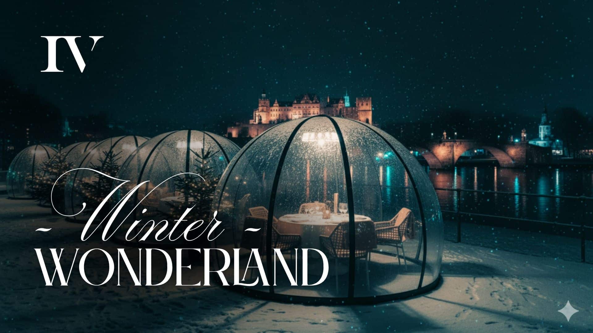 PIV WinterWonderland Titel • Weisse Flotte Heidelberg